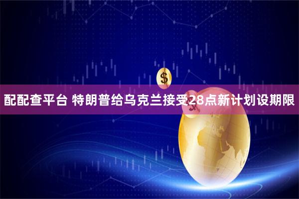 配配查平台 特朗普给乌克兰接受28点新计划设期限